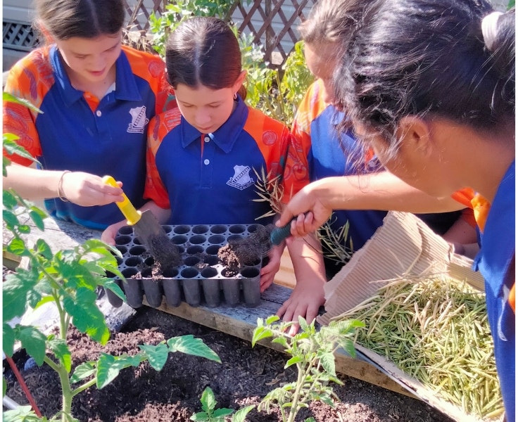 Four students looking at a container of seedlings in a garden bed